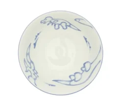 MIYA Company Bowl Jurassic Dinos Ramen New