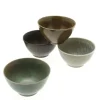 MIYA Company Bowl Set Pacific Forest Matte 4-5/8" New