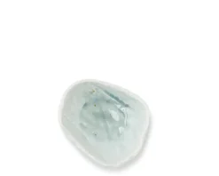 MIYA Company Coral Blue Sauce Dish New