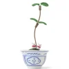 MIYA Company Figurine Potted Plant Fortune Cats New