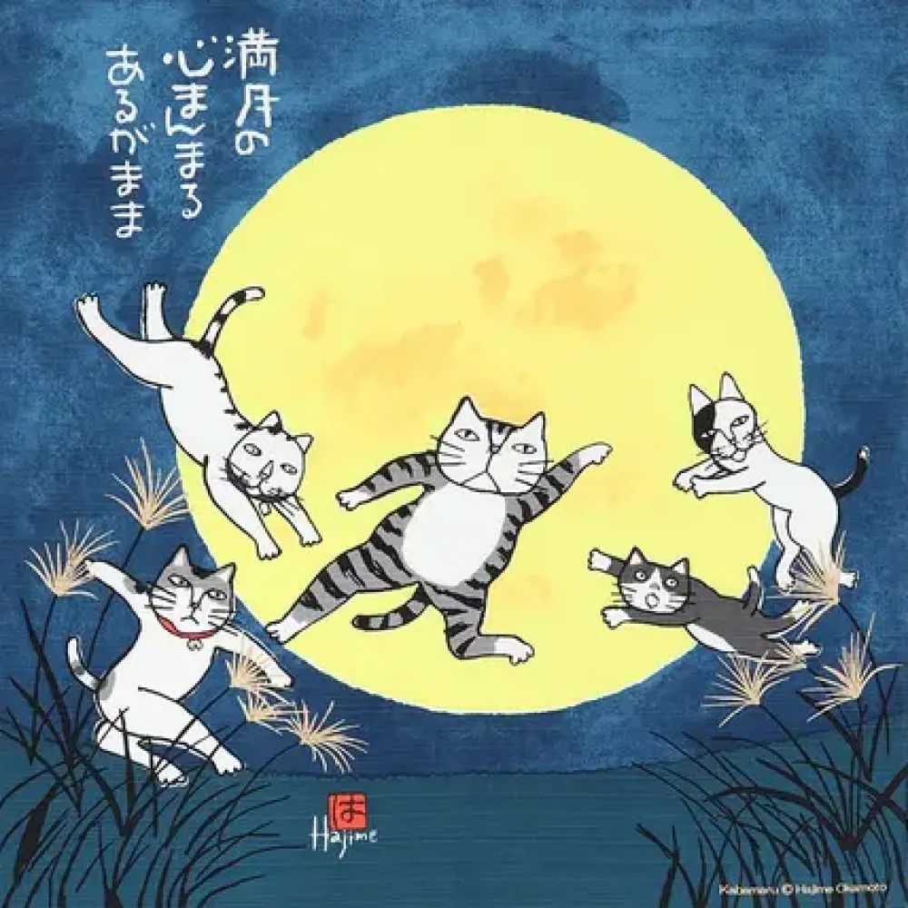 MIYA Company Furoshiki Kabamaru Cat Moon 19.75" Sq. Discount
