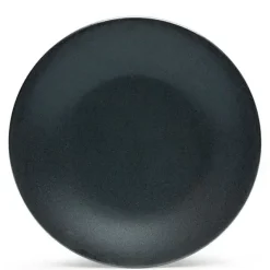 MIYA Company Iron Glaze 11" Dinner Plate Online